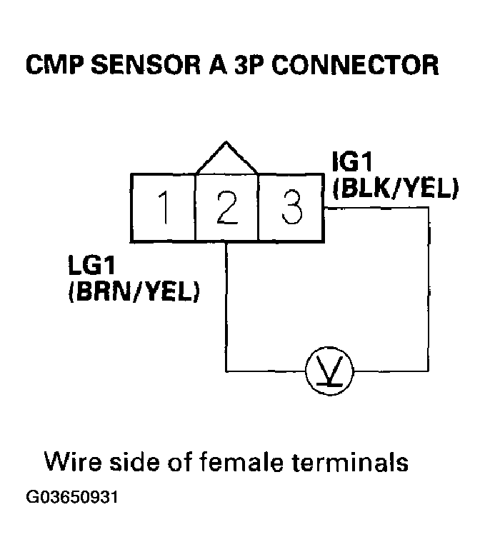 G03650931