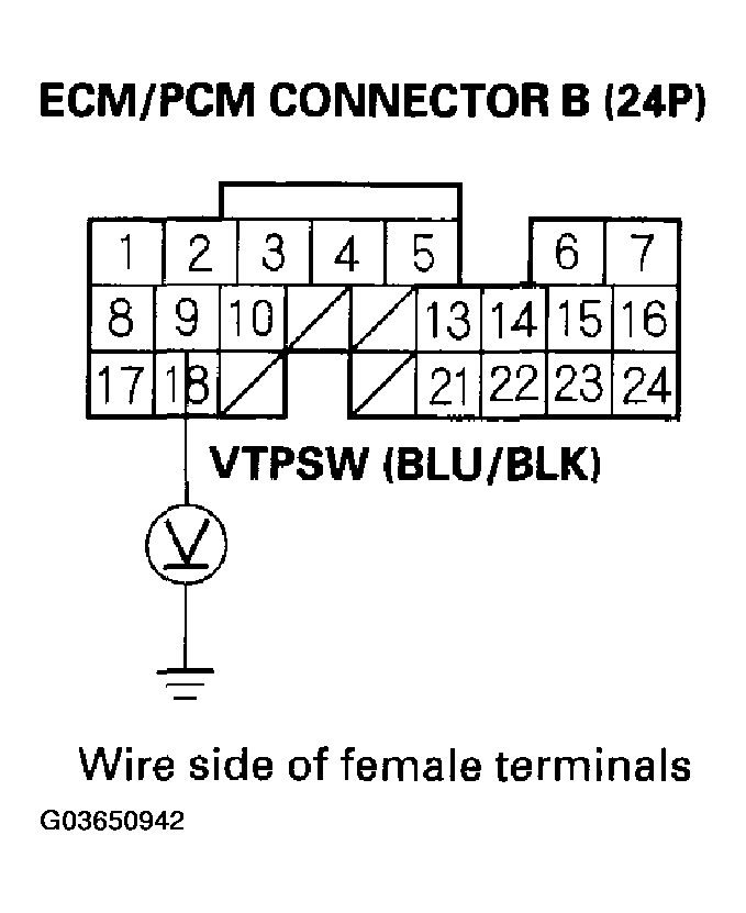 G03650942