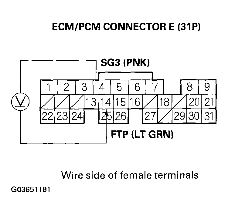 G03651181