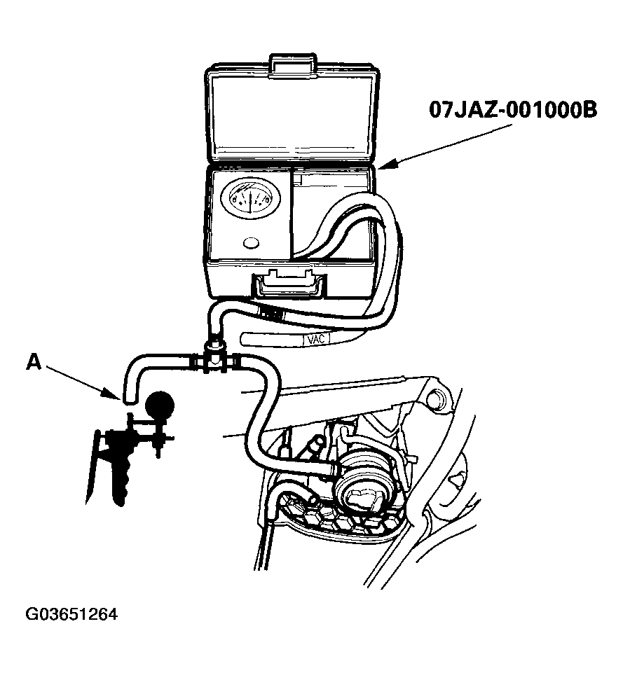 G03651264
