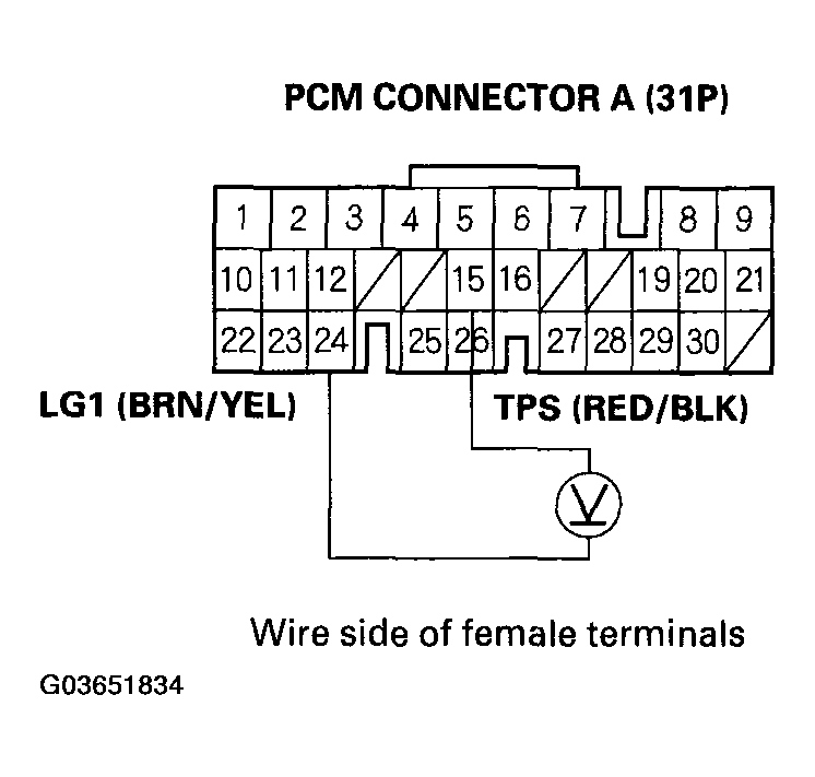 G03651834