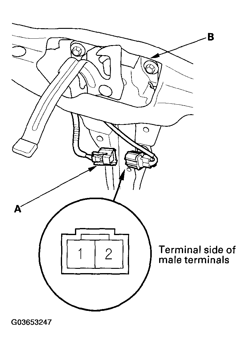 G03653247