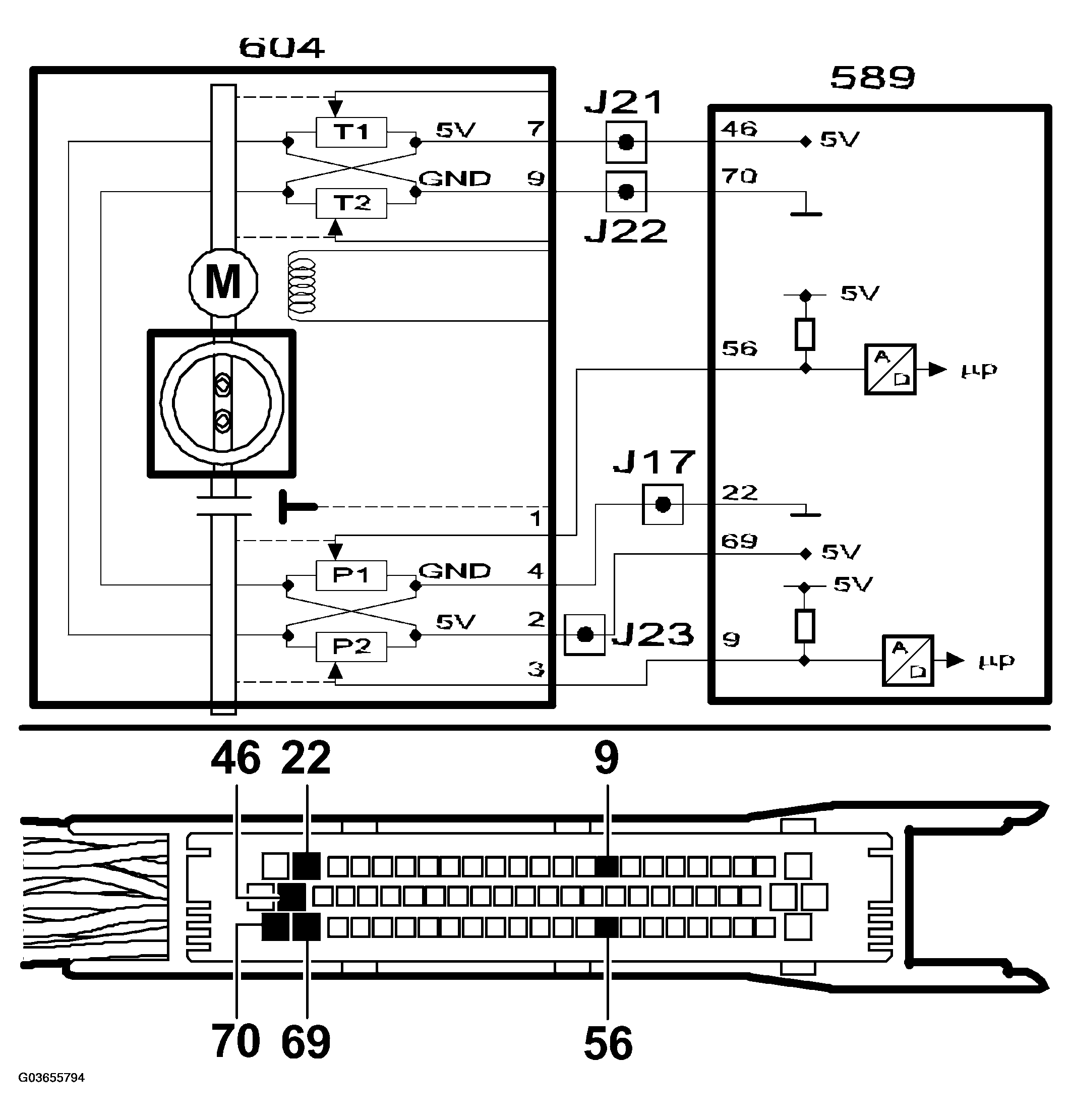 G03655794