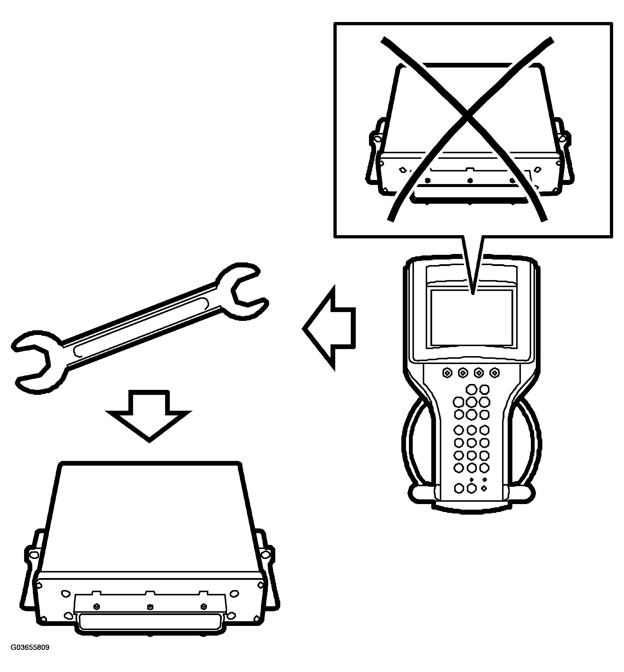G03655809