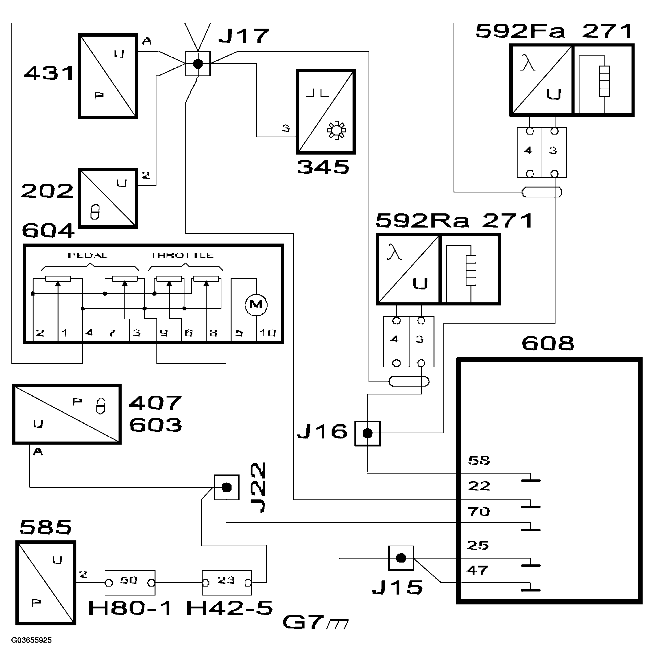 G03655925