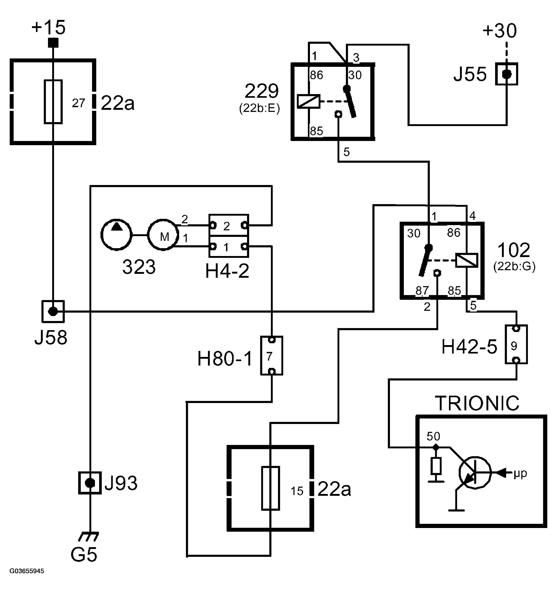 G03655945