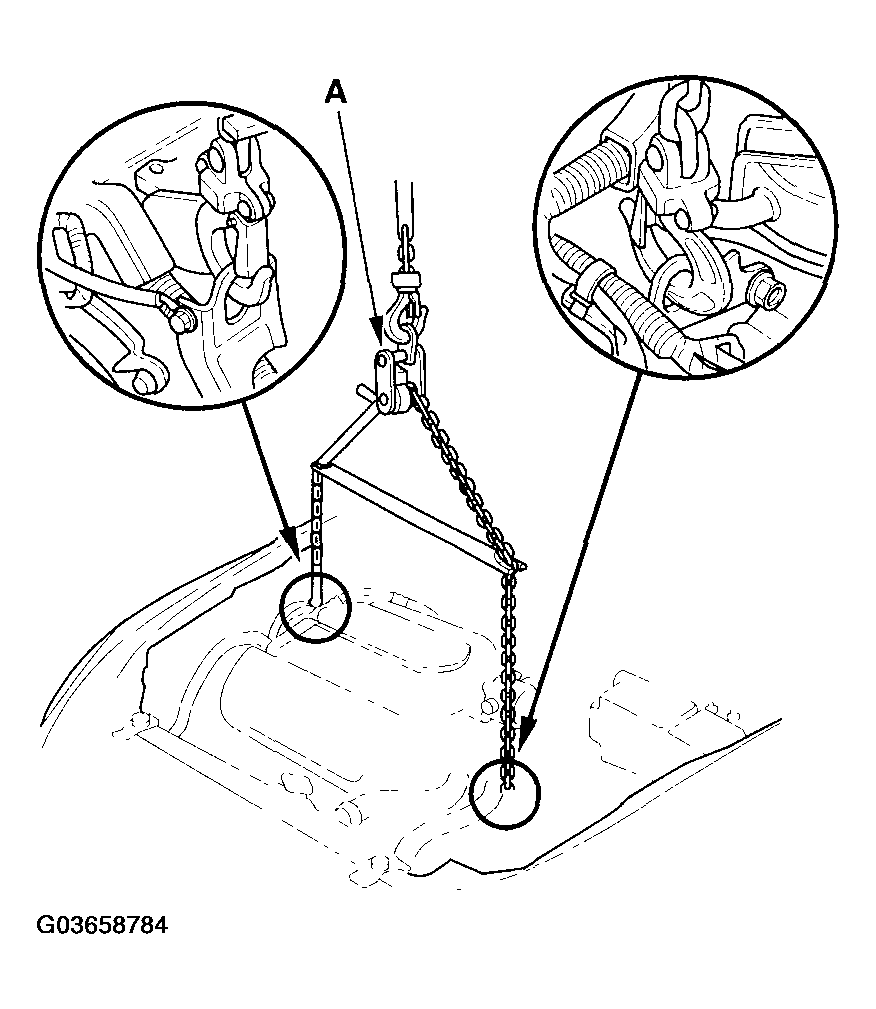 G03658784