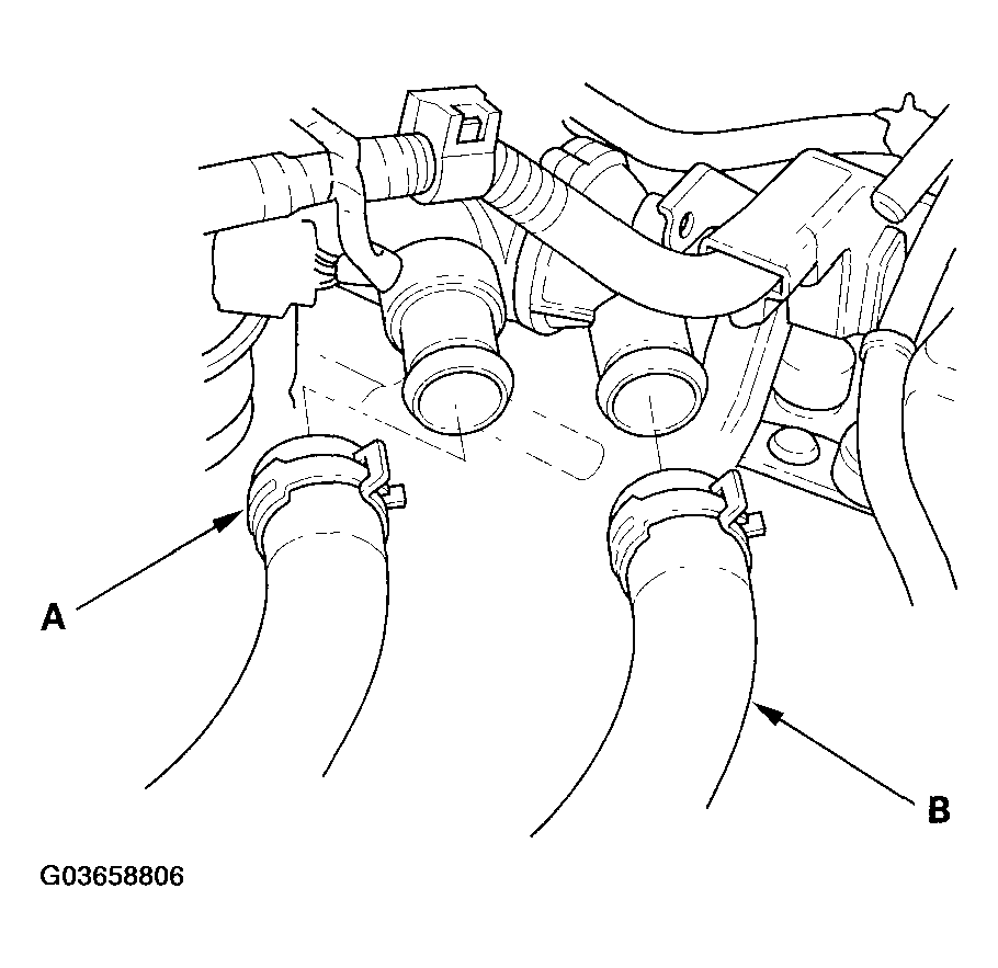 G03658806