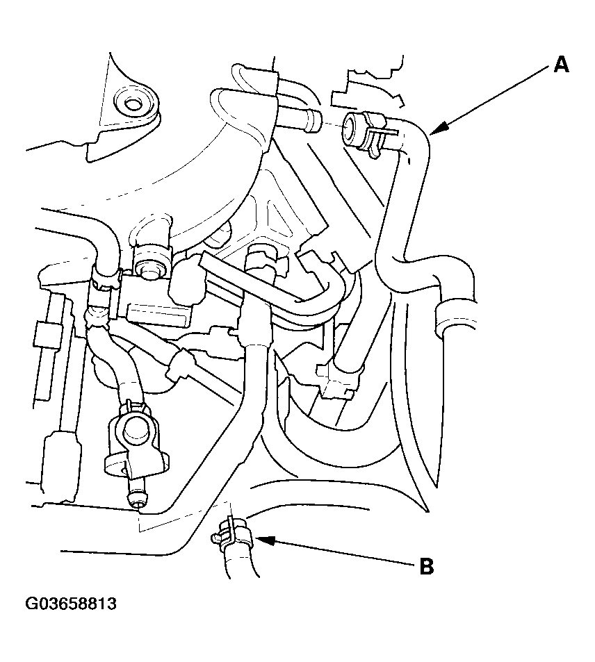 G03658813