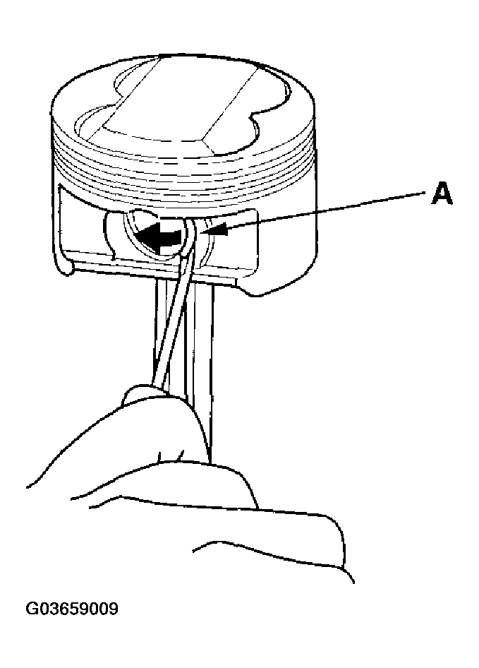 G03659009