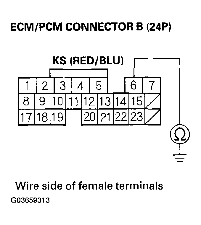 G03659313