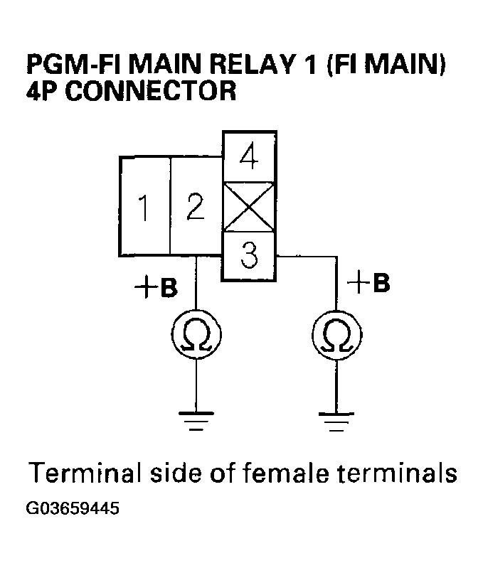 G03659445