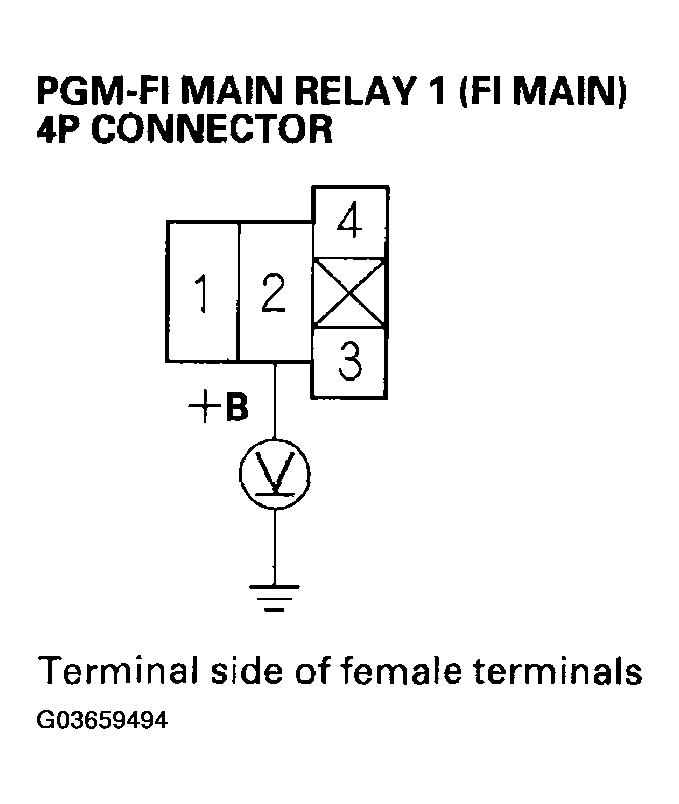 G03659494