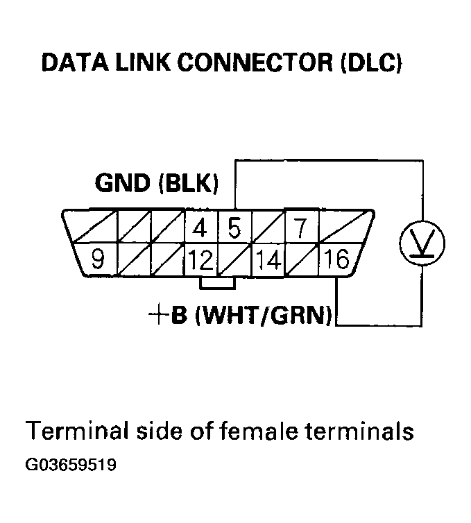 G03659519