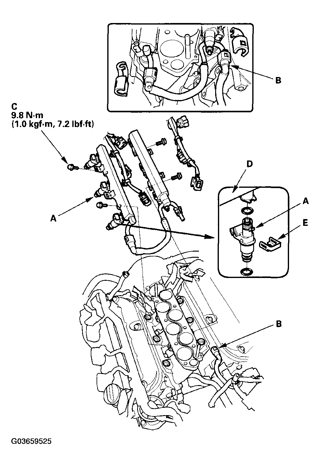 G03659525