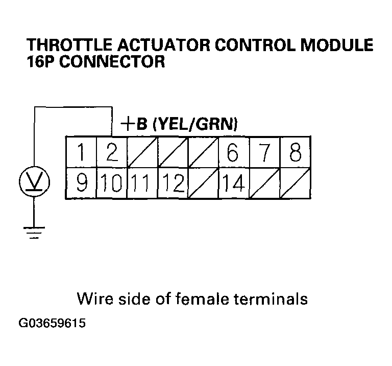 G03659615