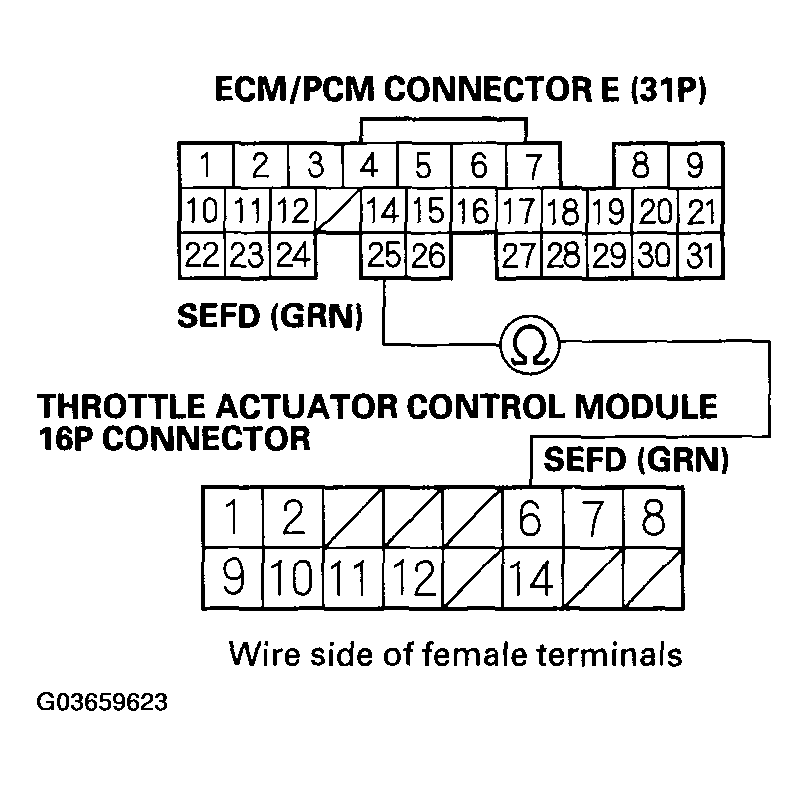 G03659623