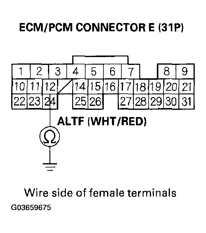 G03659675