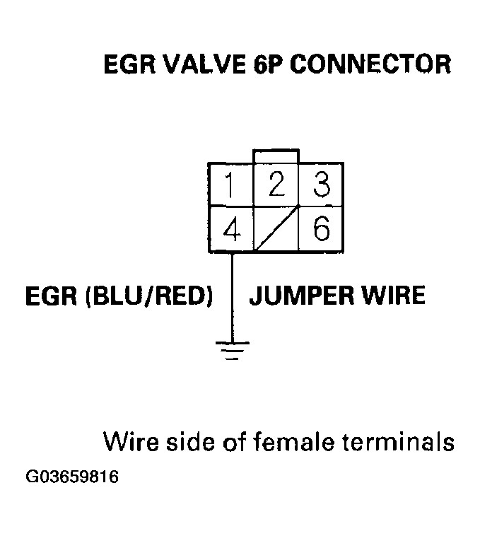 G03659816