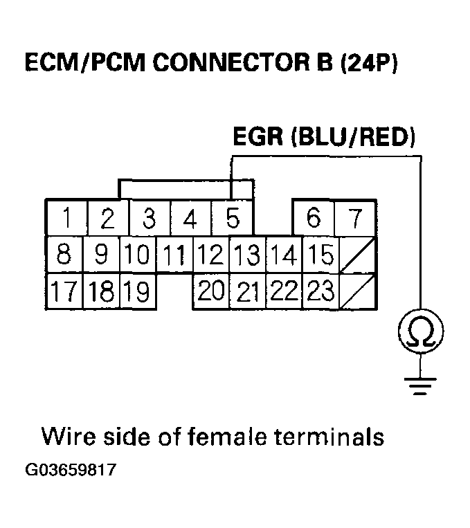 G03659817