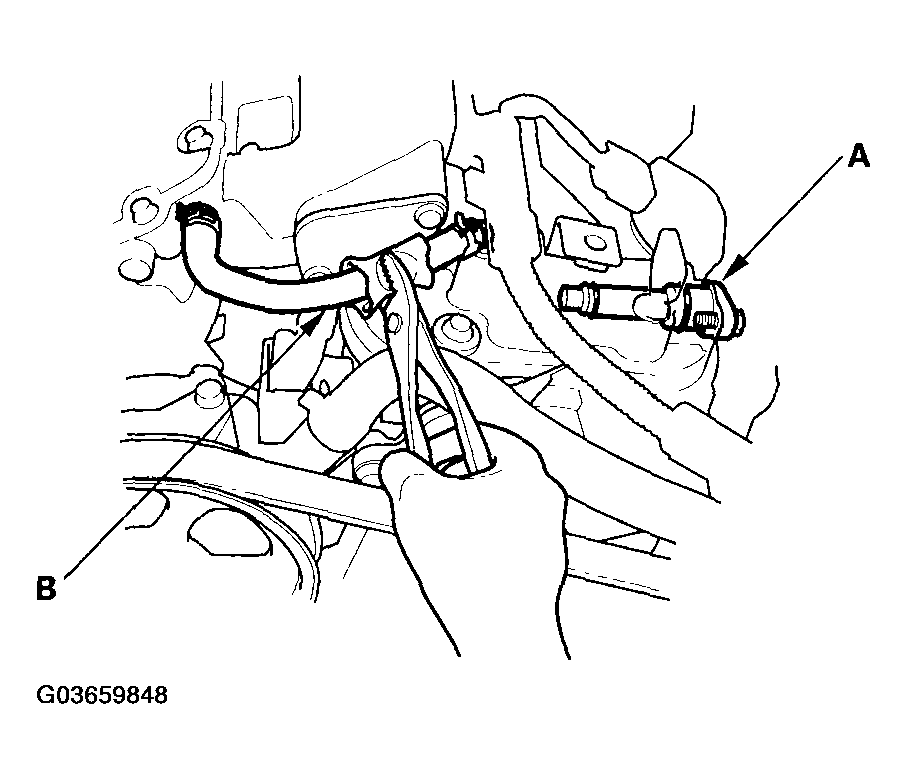 G03659848