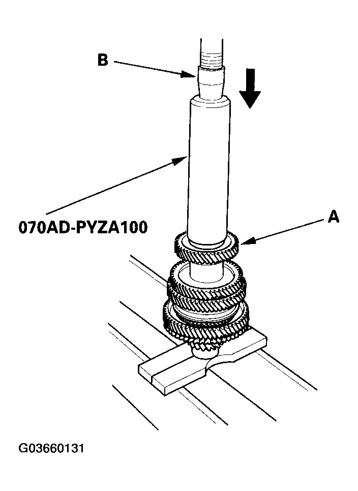 G03660131