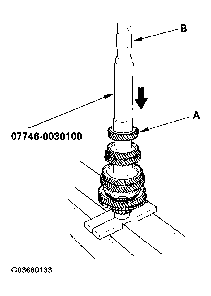 G03660133