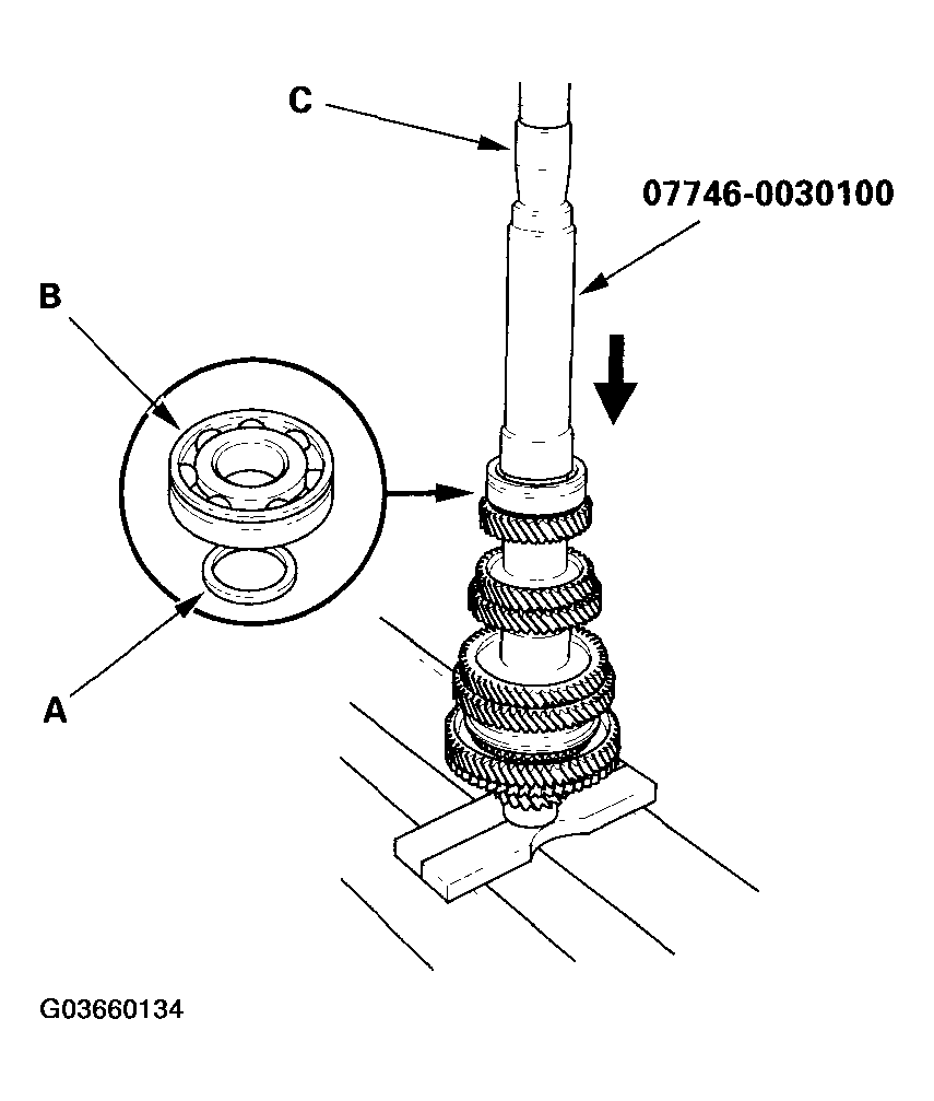 G03660134