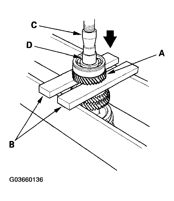 G03660136