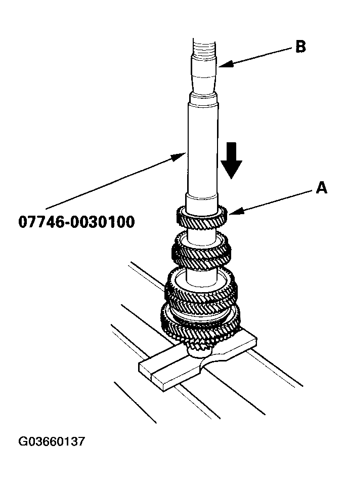 G03660137