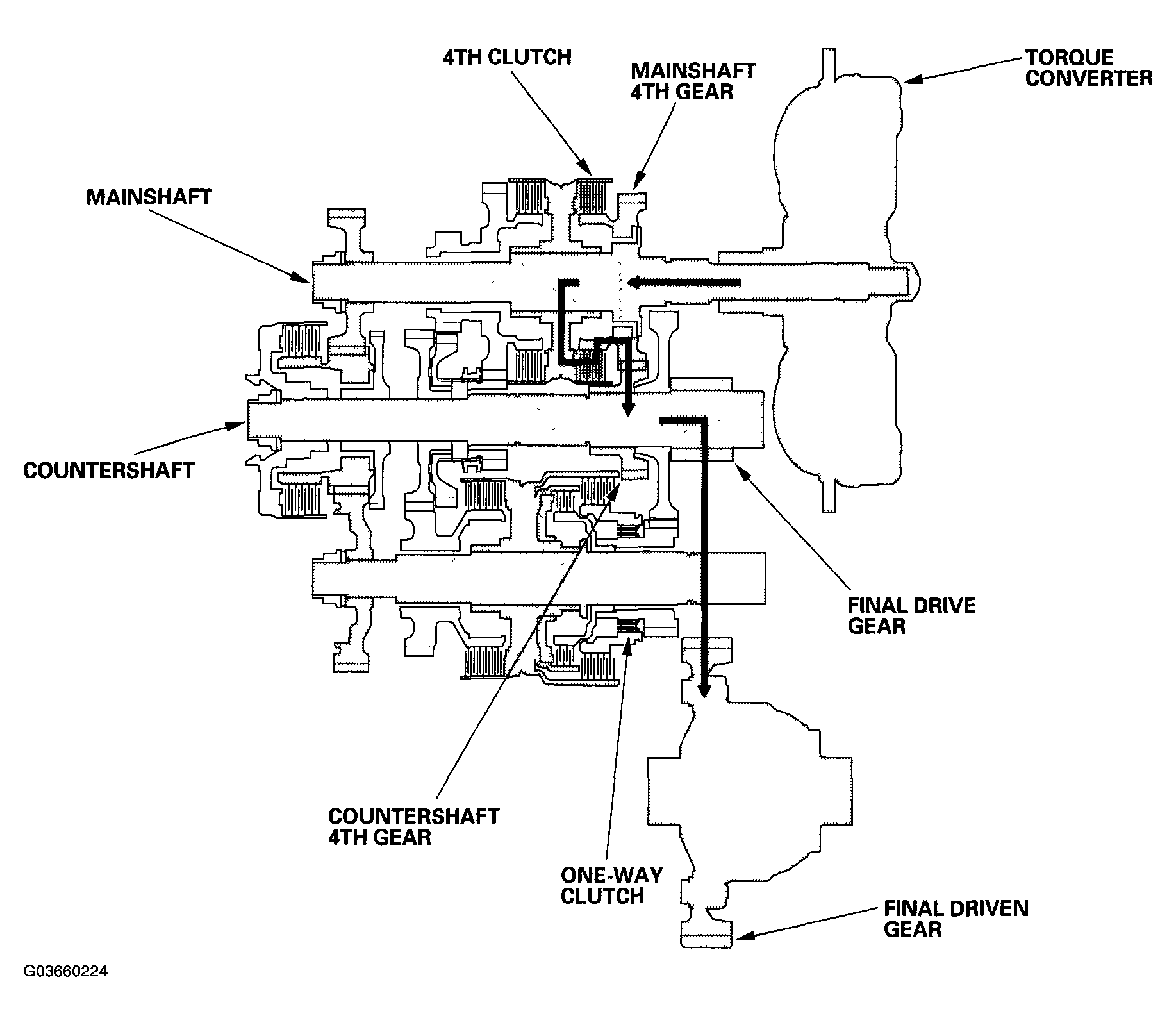 G03660224