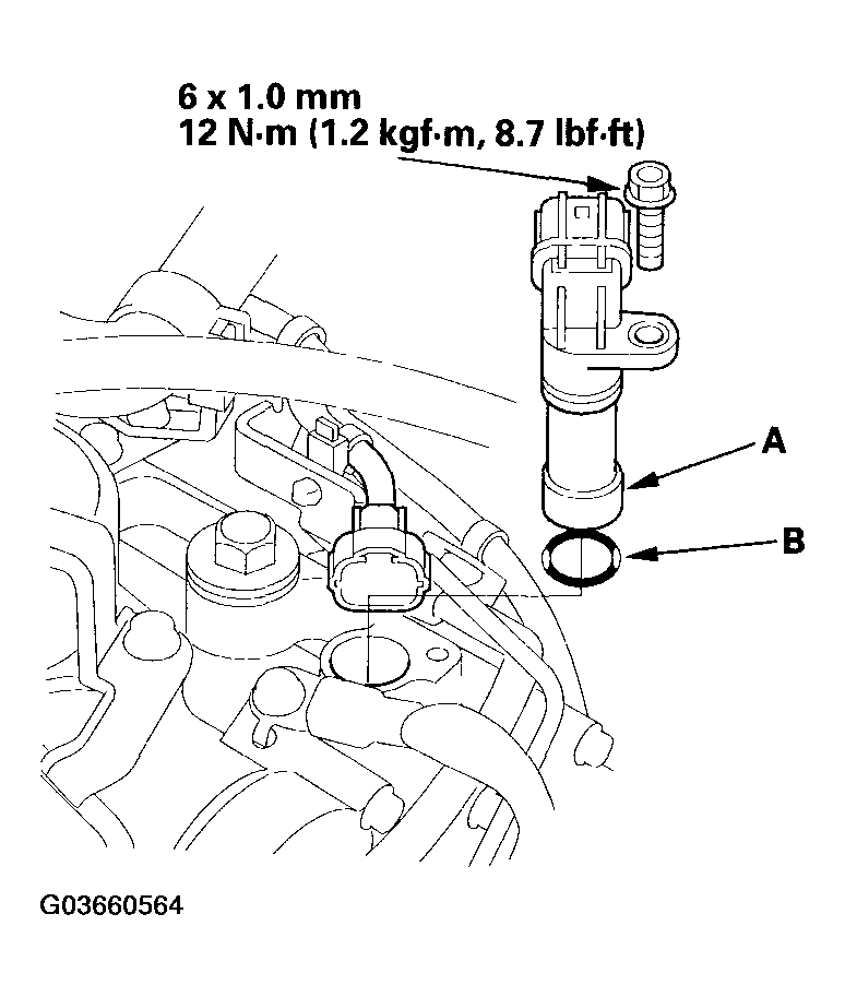 G03660564