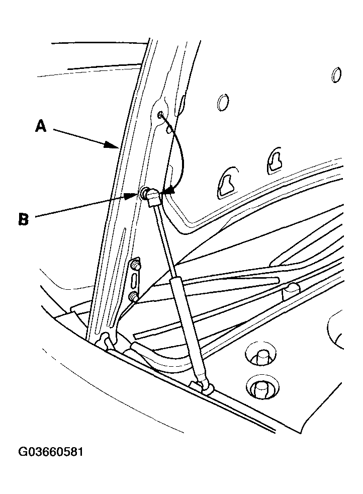 G03660581