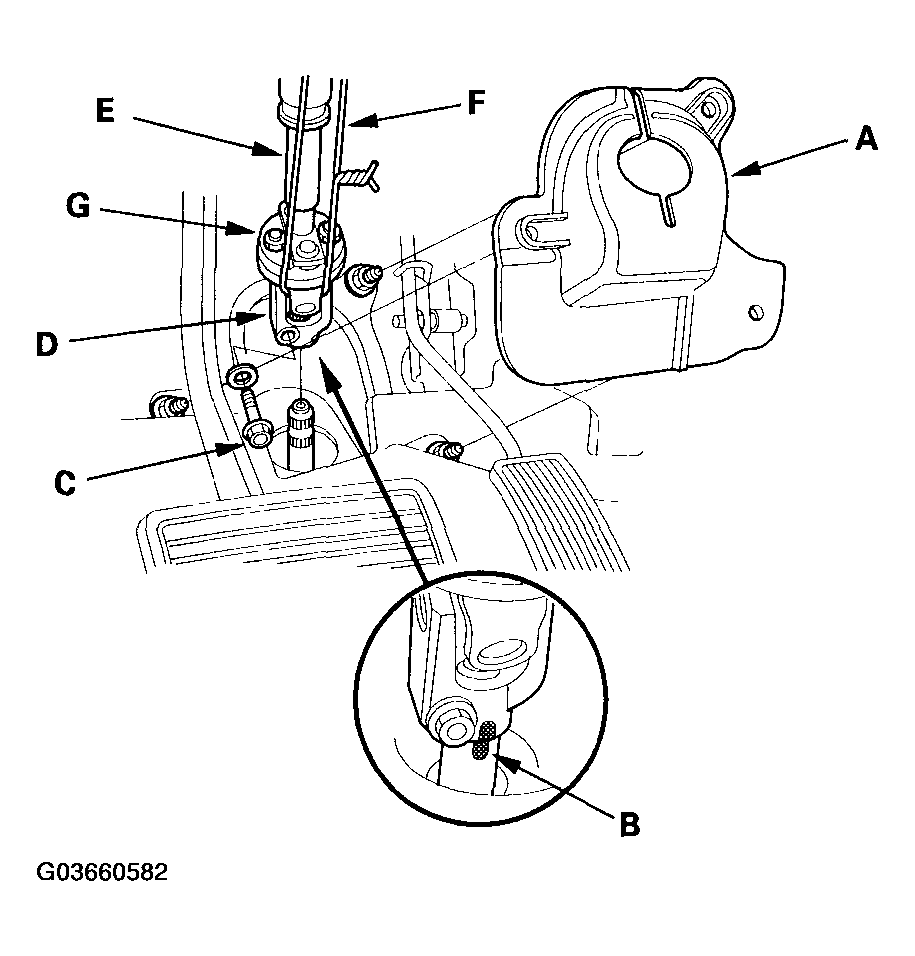 G03660582