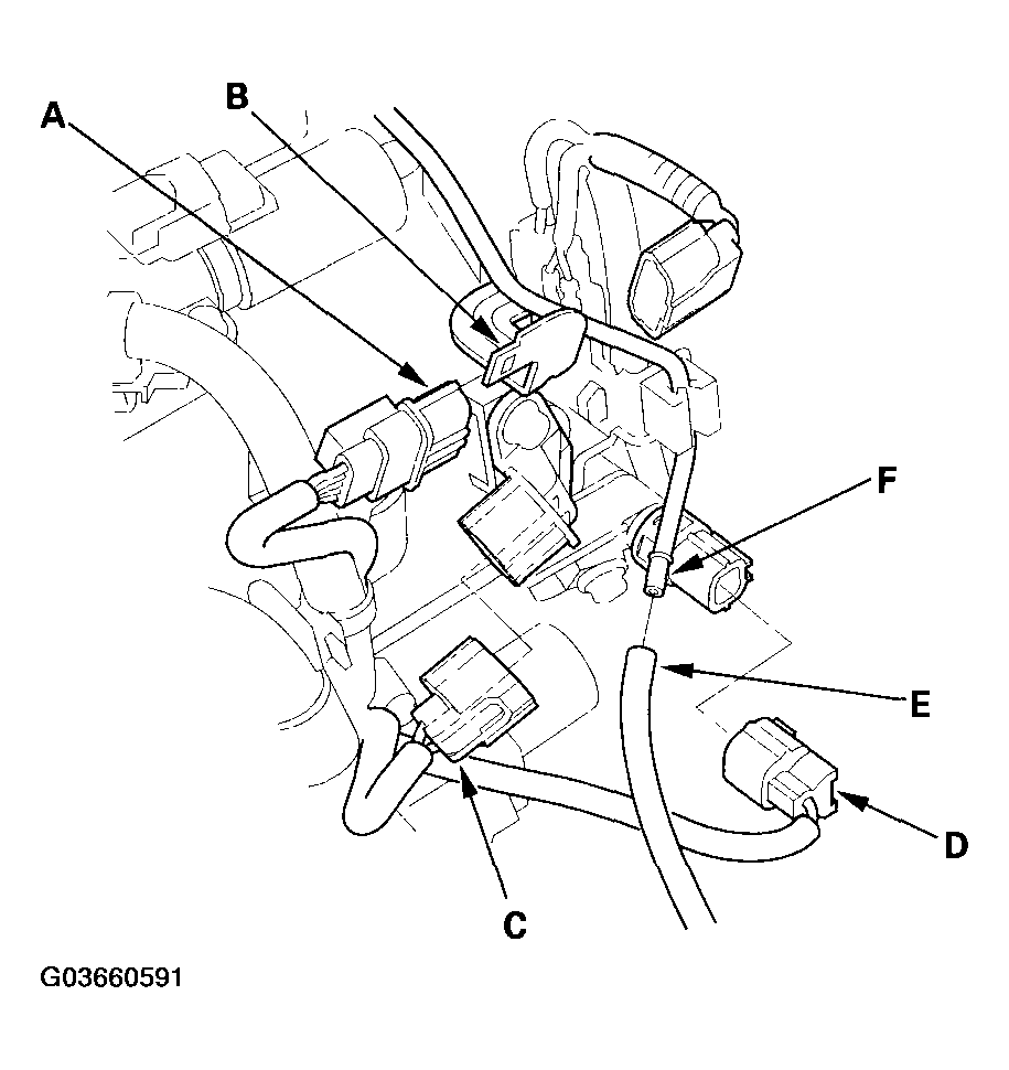 G03660591
