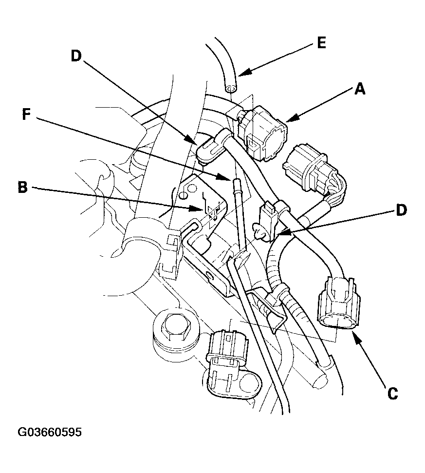 G03660595