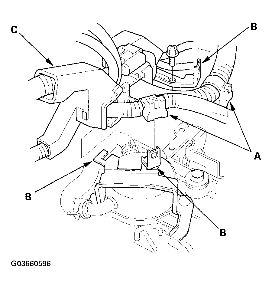 G03660596
