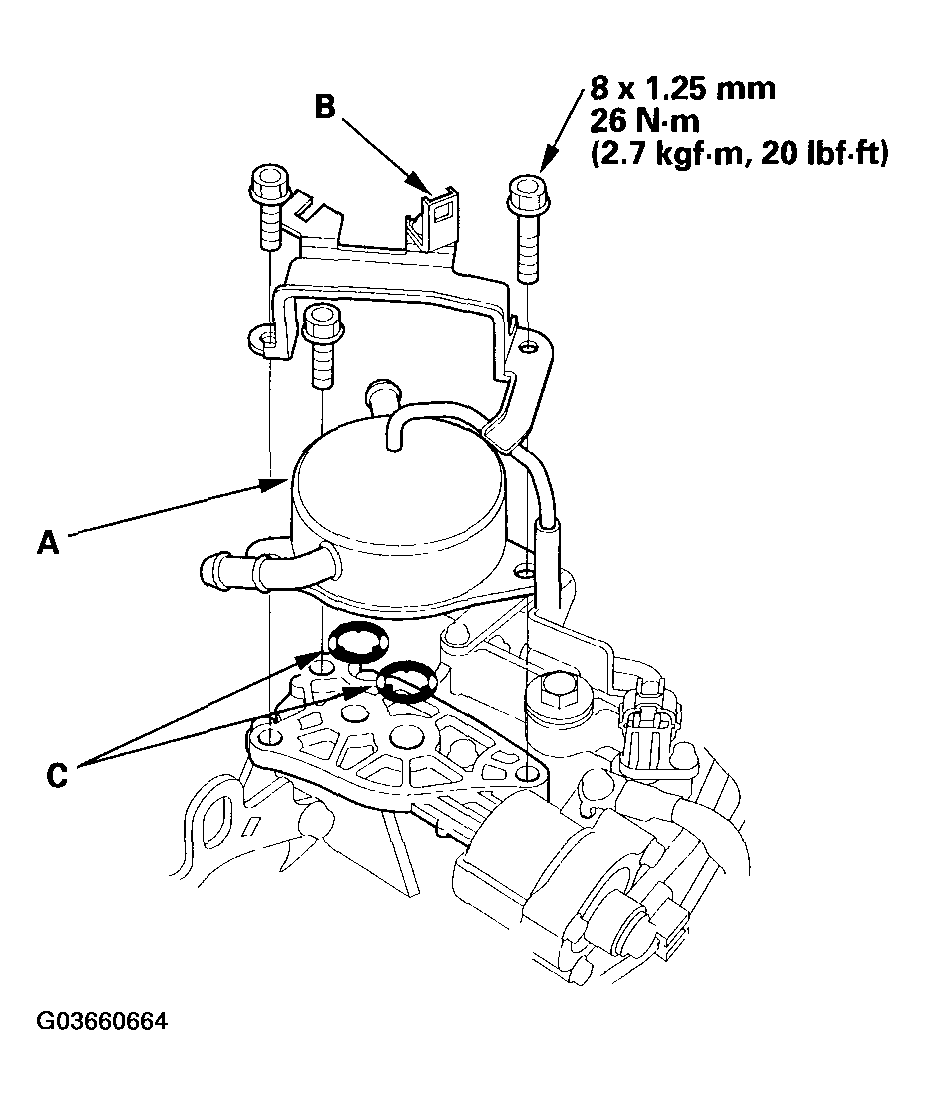 G03660664