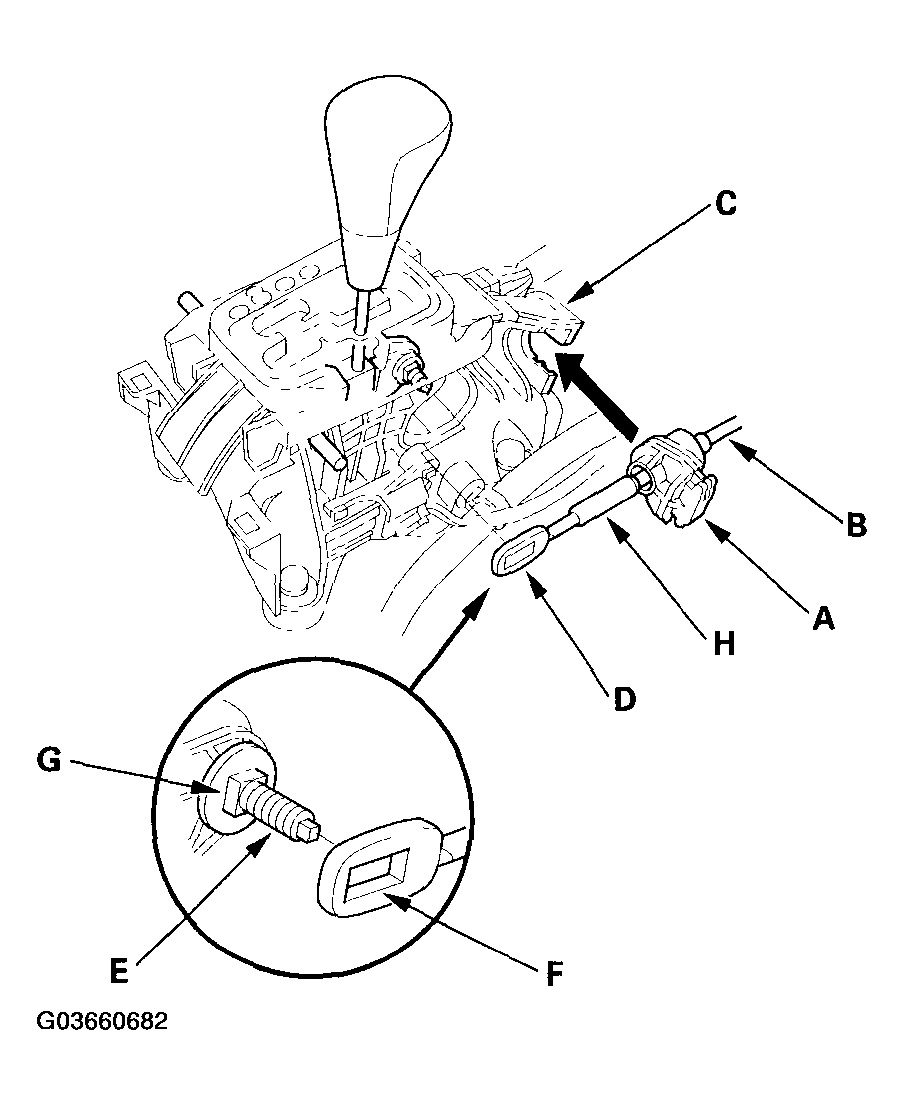 G03660682