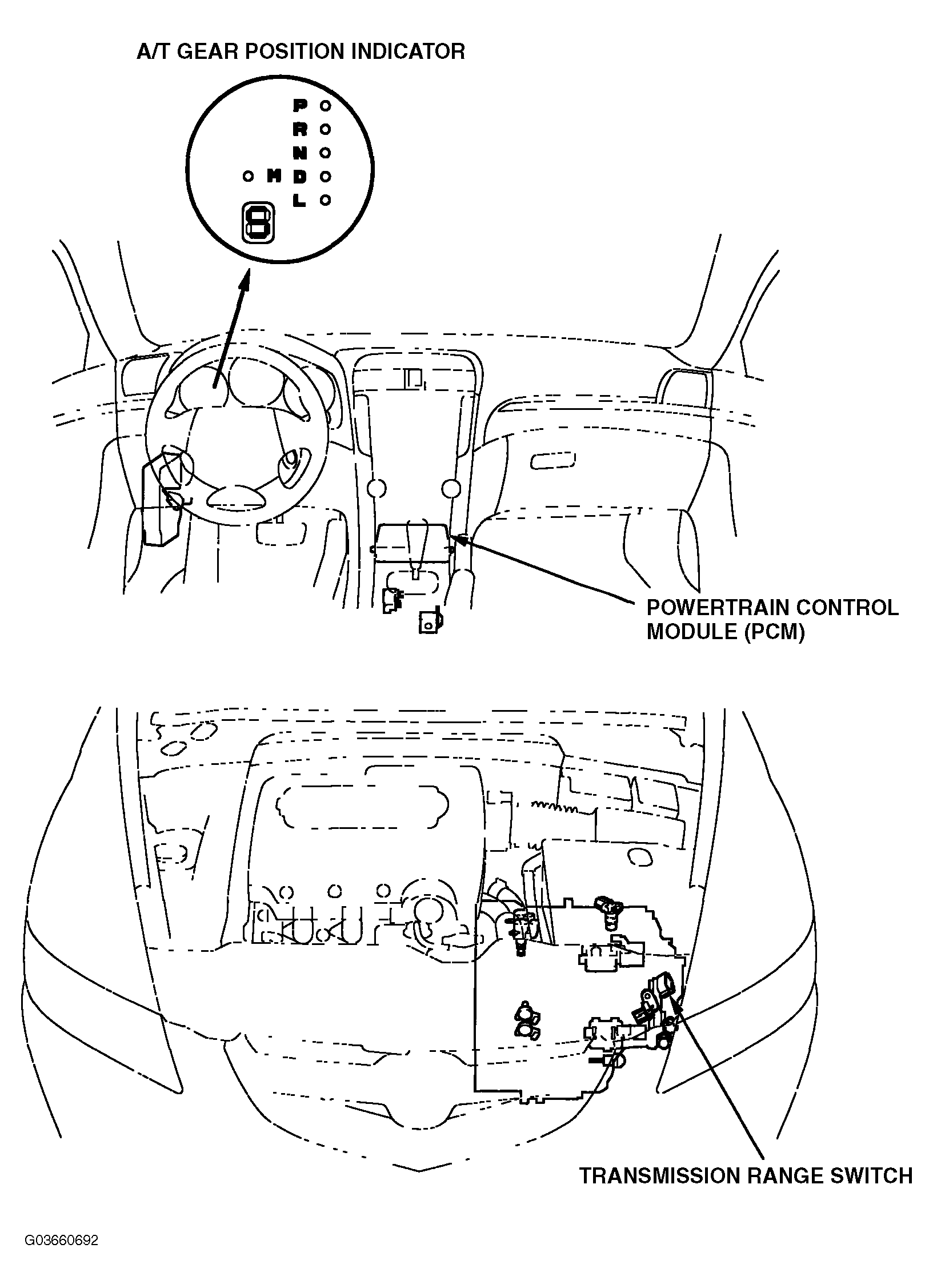 G03660692