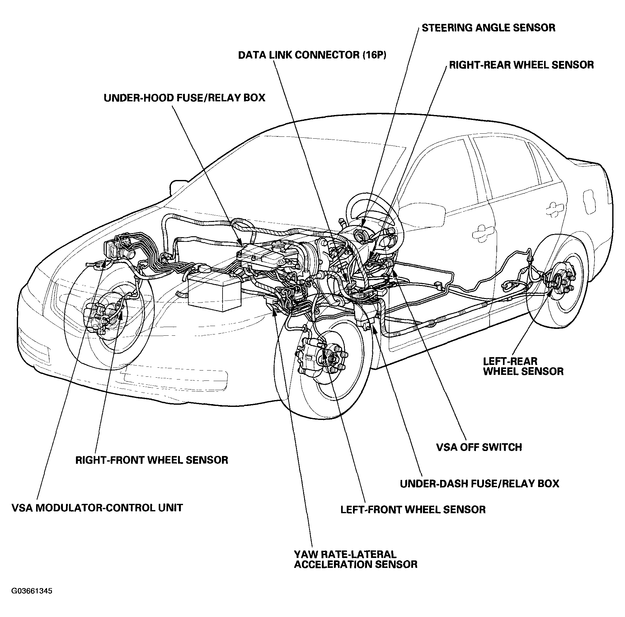 G03661345