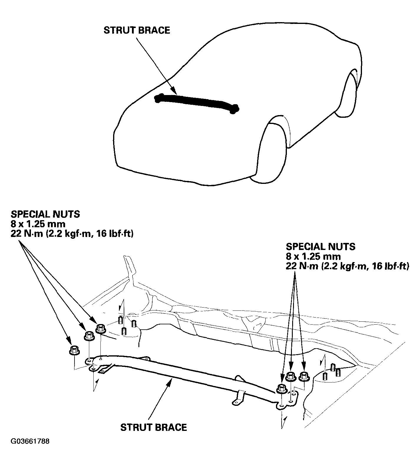 G03661788