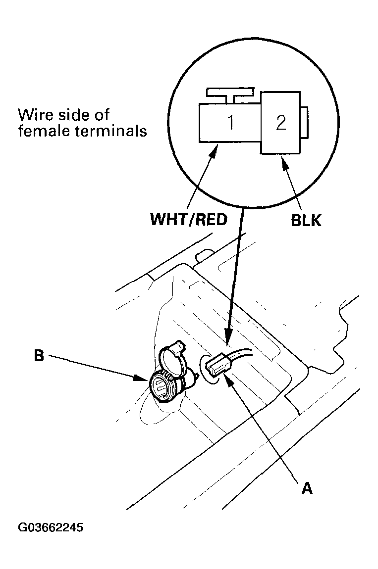 G03662245