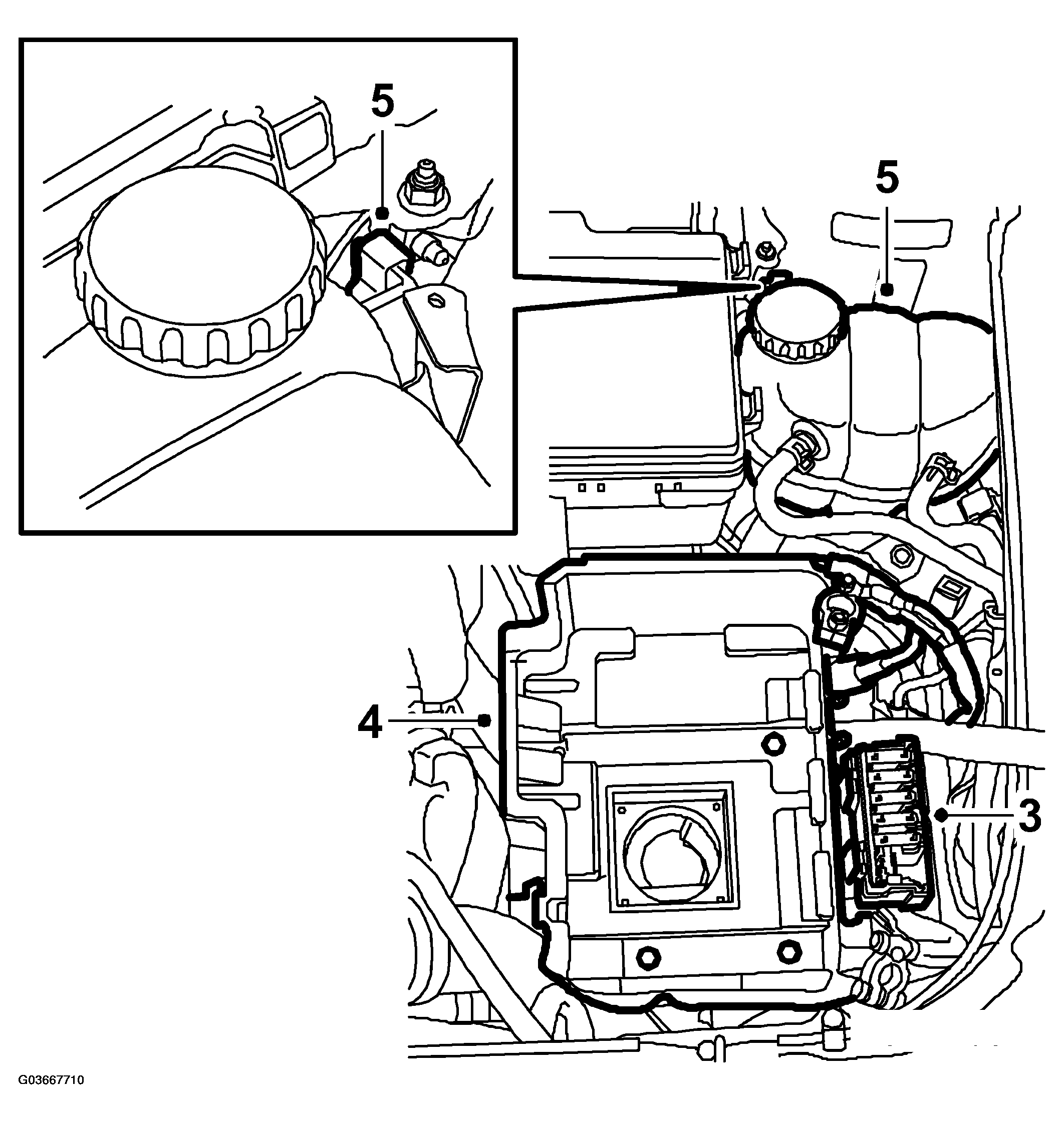 G03667710