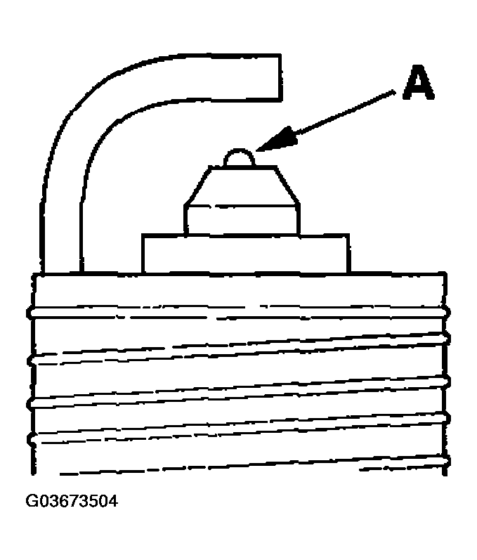 G03673504