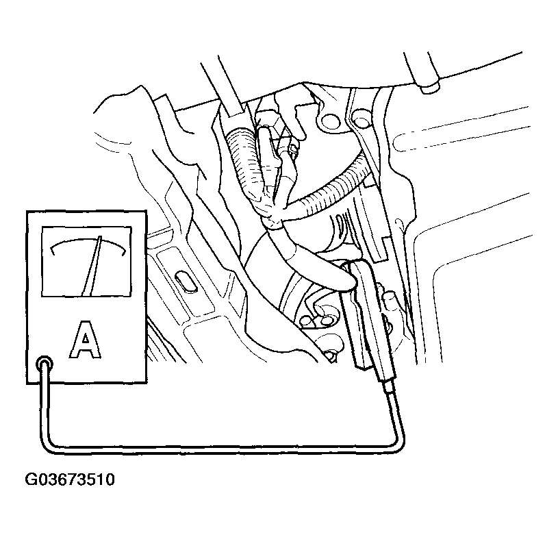 G03673510