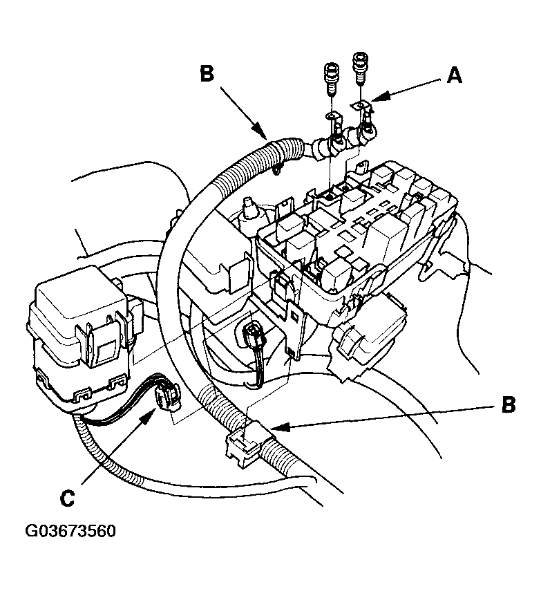 G03673560