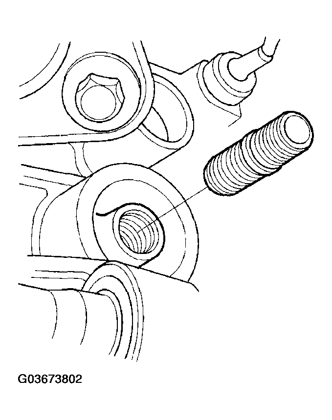 G03673802