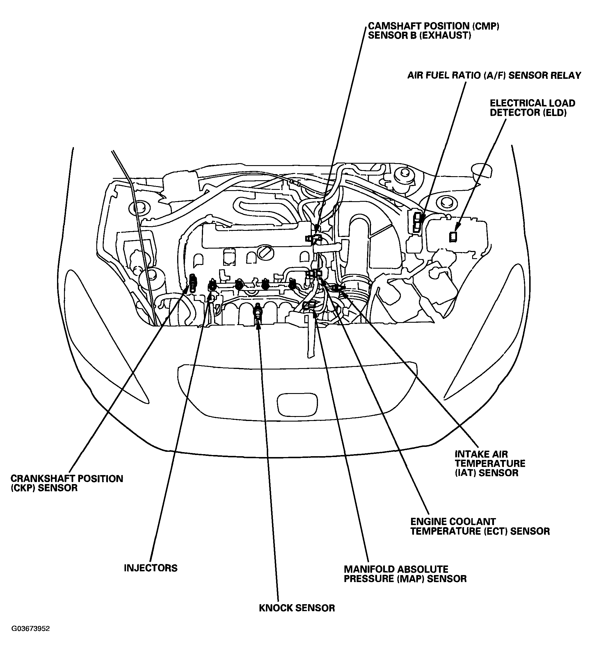 G03673952