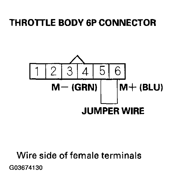 G03674130